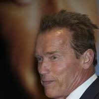 Arnold Schwarzenegger attends the Arnold Classic Europe 2011 party | Picture 97482